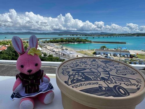 この島に来たらガーリックシュリンプです🧄
自分が食われる側なのにノリノリなエビさんシェフが不思議ですが、大好きです🐰💕
#おでかけうささん