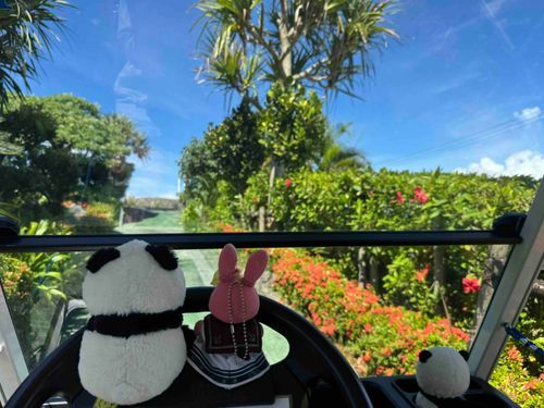 運転手はうさとナナです💖
この車はコウリタワーまで参ります🗼
#おでかけうささん