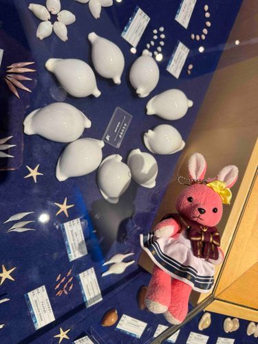 コウリタワーに着くと、まず貝の博物館があります✨
貝を見ながら、ここで涼んでゆっくり出来るのも嬉しい🐰
#おでかけうささん