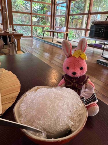 うさにデザートだよー♡と差し出されたのが、こちらの雪山です🏔️
これは…シロップ無しのかき氷ですか…？
#おでかけうささん
