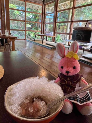 こちらの雪山食べ進めると、なんと餡子が出てきました‼️
実は甘くて美味しいこのスイーツは「じぇんざい」と言うそうです🐰
#おでかけうささん
