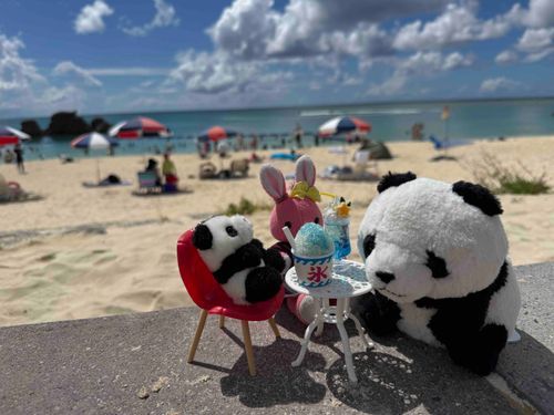 出張ビーチサイドカフェUSSAです⛱️直射日光でスタッフのナナさんがバテ気味ですが、頑張って営業してます💪
#出張カフェUSSA