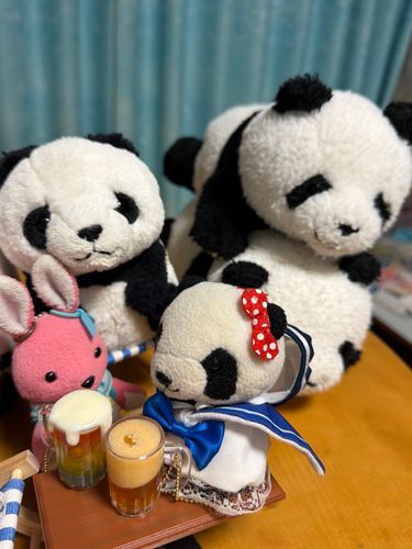 今日はうさの大好きなおにーさんが、勉学の為、旅立ってしまいました…。
しばらく会えないとの事で、心にポッカリ穴が空いた気持ちなので、今日はうさもビールを飲んで寂しさから逃げています🍺
お酒を飲みつつ、みんなで思い出話もなかなかいいものですね…！