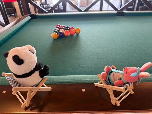 そういえば先日、マスター達がビリヤード🎱というものをやってるのを鑑賞しました。
ボールがぶつかるカツーン！という音が堪りません🐰
隣ではナナさんが、コロコロするボールを追いかけたそうにウズウズしながら観ていました🐼
