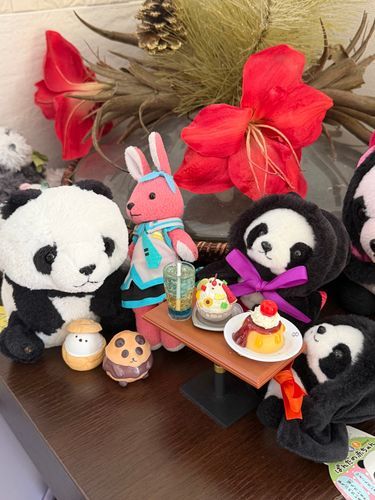 【野生のお客様のご来店で、うさカフェ大パニック💦】
とある日のうさカフェ。
ナナさんが困った顔をしてたので、話を聞いてみると野生の蜘蛛さんがご来店して今、足の裏でお待ちいただいてるとの事。

他のお客様が恐れ慄いてしまう為、野生のお客様のご来店は基本お断りしております🐰💦