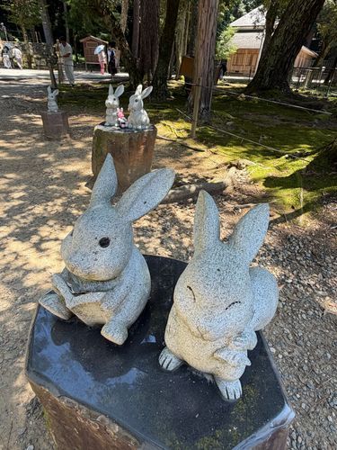 【出雲旅回想編6】
こちらが出雲のウサ友さん達✨
みんな個性の違うウサ達が、境内に66羽居るそうです。
全員とは会って友達になれなかったから、また行きたいなぁ…🐰