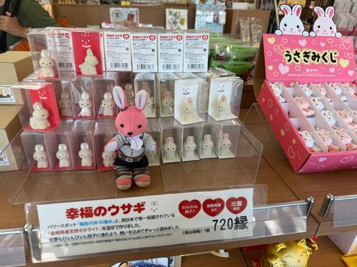 【出雲旅回想編7】
お土産屋さんに入ると沢山のうさぎさん達がお出迎え🐇
幸運のウサギさん達に、うさぎみくじさん達などなど…✨
ウサ友さん探しにはピッタリな出雲です🐰💕