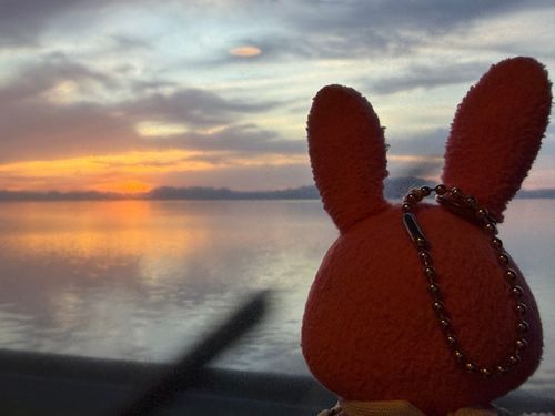 【出雲旅回想編15】
お部屋の車窓からの夕日がこちらです🌅あれ夕日？
この電車サンライズ出雲じゃなかったっけ？
もしかして朝日も見えるのかな❣️
