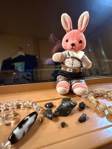 【出雲旅回想編16】
サンライズの時間を楽しみに夜明けを待っているうさです。
マスターは寝るそうなので、天然石の皆さんとお喋りしながら、車窓から星を眺めつつ日の出を待ちます🌅ワクワク🐰