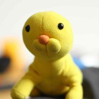 ポンくん