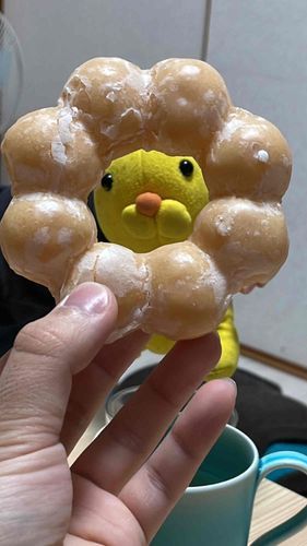 じゃーん！
ポンデライオンのポンくんです。