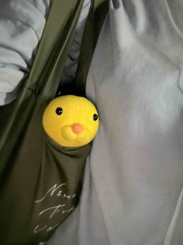 連れてってもらったよ。
お散歩気分☺️