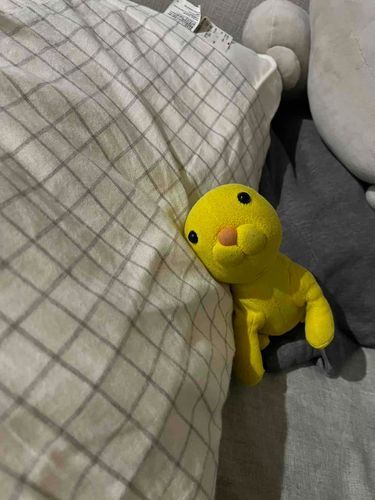 じぶんちみたいに
くつろいじゃってる