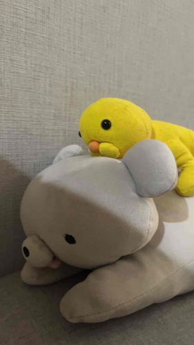 ぎゅーっ