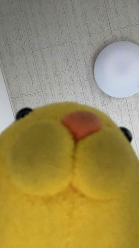 わ、こっそりスマホさわってたら
自撮りになっちゃった！
おはよー