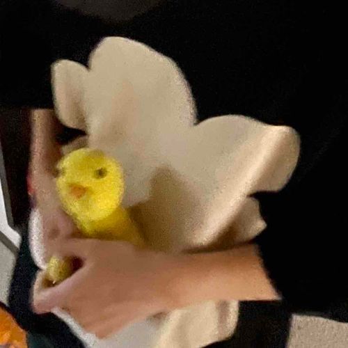 つかまっちゃったよ