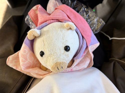 どこにいくのか どきどき わくわく