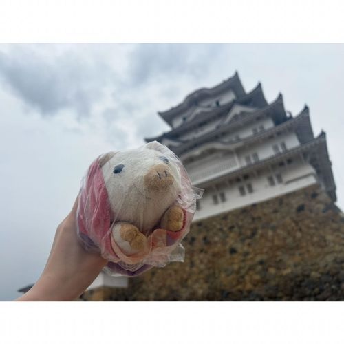 わ、姫路城…！