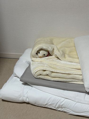 そろそろ寝ようかな。さ、布団敷くかな〜