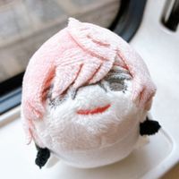 おいぬさんちの亀甲くん