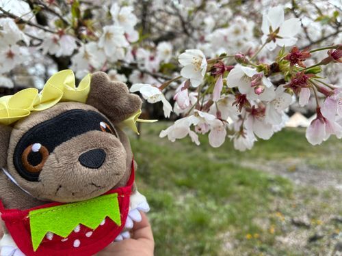もうみんな　ちっちゃった　かな