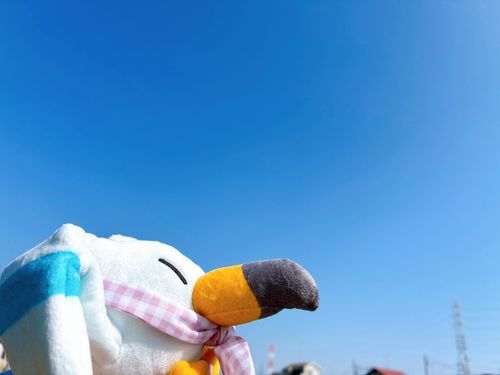 そらをとぶ