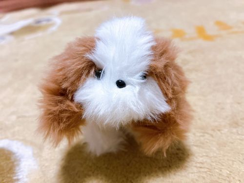 もーる？からうまれた　しーずー　だよー