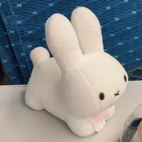 ほわ
