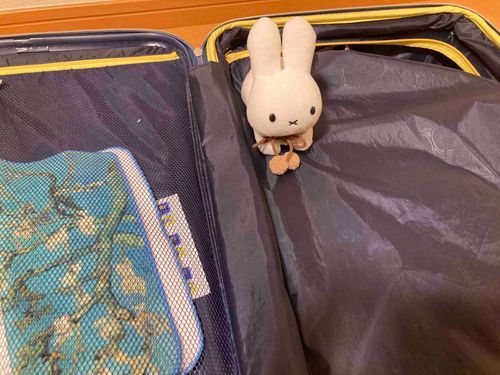 こんなじかんにガサゴソして なにしてるんですか、にんげん？え、あした りょこう⁉️
