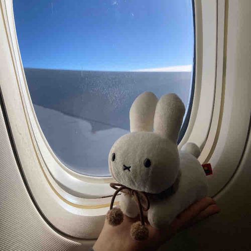 めずらしく ひこうきに のりました✈️わすれもの いっぱいあった みたいですけど、なんとかなりますよ、にんげん