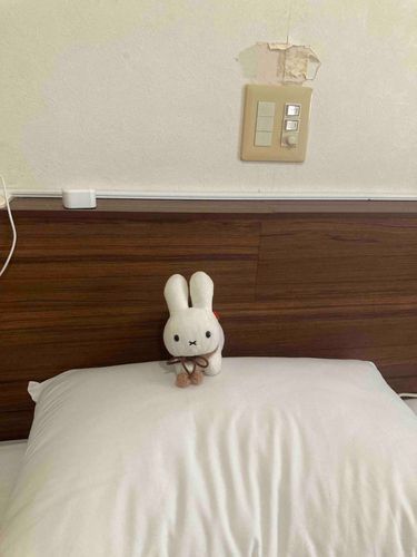 きのうは ぬれちゃう かのうせいが たかかったので おるすばんでした🏠きょうは いっしょに おでかけです！