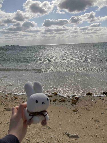 かぜが とても つよかったですね🍃おきなわの うみは とても あおくて きれいでした！