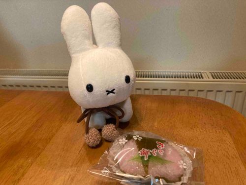 さくらもちを たべました🌸
すこやかに いきていきましょうね、にんげん