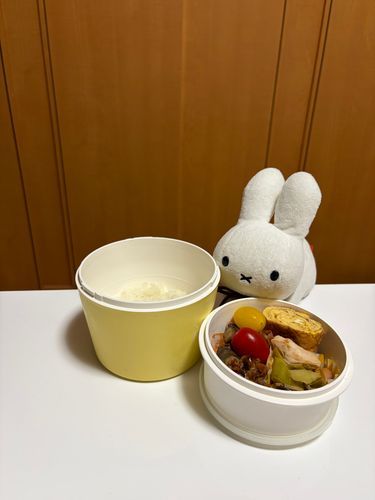 にんげん、おひるように おべんとうをつくったのに もっていくのをわすれたらしいです😭 ゆうはんを つくるてまは はぶけましたね