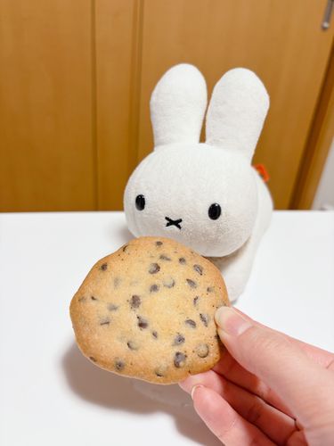 ŧ‹”ŧ‹”…