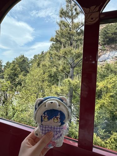 スリルのあるアトラクションもいいですけど、のんびりとした乗り物も良かったですねぇ〜