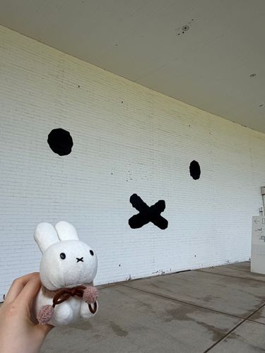 ミッフィーてんに いきました！5ねんまえの ミッフィーてんで、わたしは にんげんのおうちに おむかえされました🐰