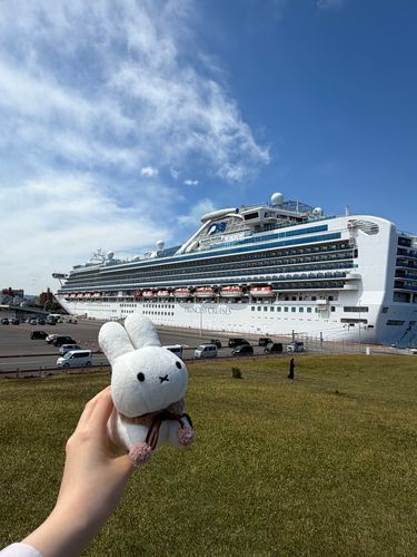 たまたま きこうしてた ダイヤモンドプリンセスを みにいきました🚢いつか のせてほしいです、にんげん