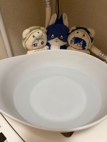 天気がいいのでみんなでお風呂に入ります🛀きつねくん、逃げちゃダメですよぉ〜