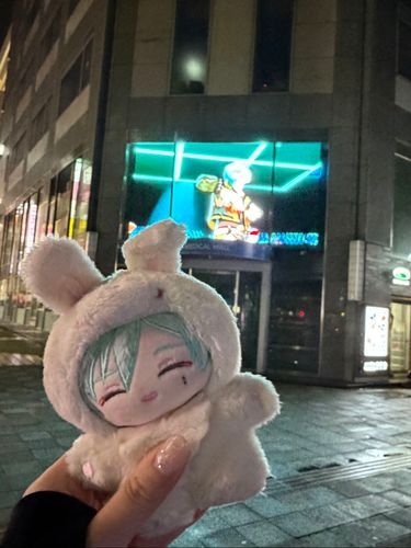 ブレていますな…
