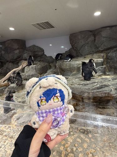 ペンギンもいっぱいいました🐧意外にすばしっこく泳ぐんですねぇ〜？