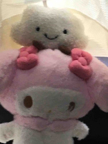 上の人は親友の雲の妖精ヌーヌーです！いつも喧嘩しますが仲良しです🥰