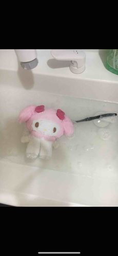 洗濯した時のやつです！結構汚れてましたこの後毛がフサフサじゃなくなりました(´；ω；｀)