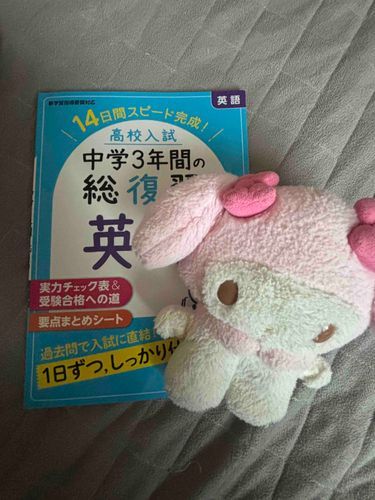 最近浮上なくてすみません💦ここ数ヶ月まいめろと高校受験頑張ってました☺️まだ仲良しです😚❤️
