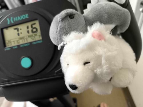 応援か？はたまた妨害か…
見守られながらのエアロバイク笑