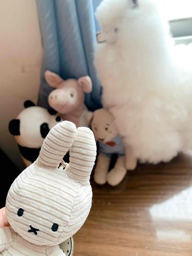 おかえり、ミフィ！🐇