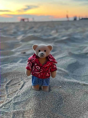 🐻🏖️