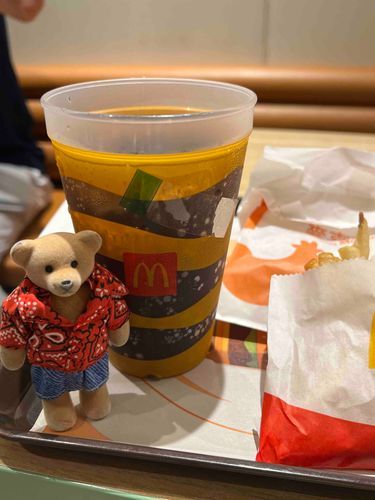 マクドナルドお食べた‼︎