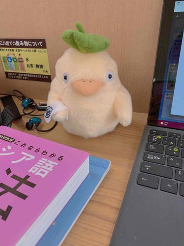 うさぐむくんと一緒に大学に来たよ。図書館で勉強するんだって！