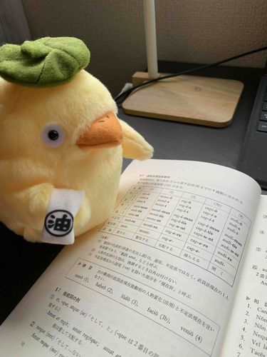 うさぐむくんの大学で使う本を見てみたよ。覚えることがいっぱいだなあ…